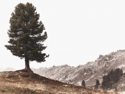 Neid – Wie du diese Emotion bekämpfen kannst