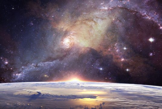 Der Habitus – Wie du aufsteigst